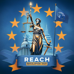 Viitorul REACH – un document al Consiliului UE